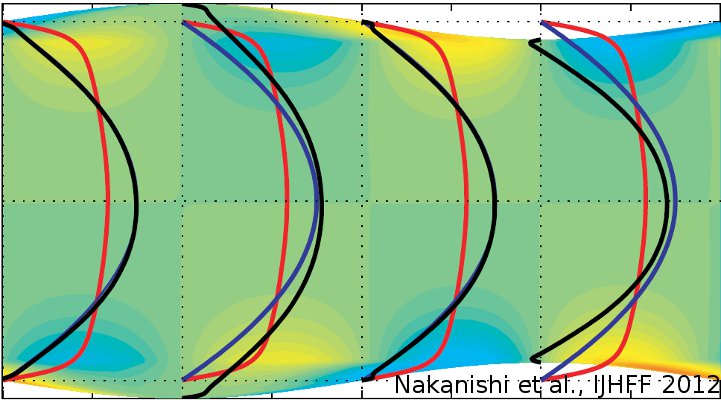 nakanishi-ijhff12.jpg